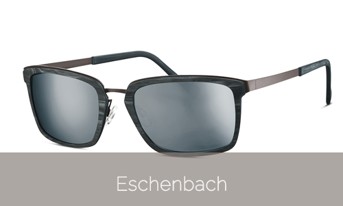 eschenbach-2